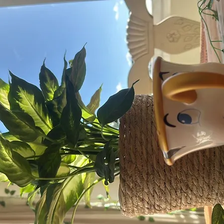 Cozy In Modern Shared In Atalaya, Spain