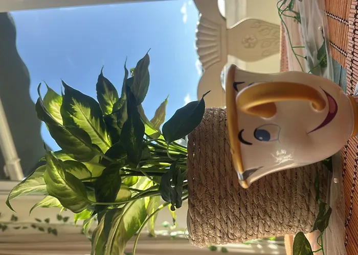 Cozy In Modern Shared In Atalaya, Spain